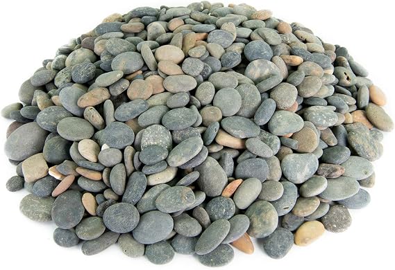 Mexican Beach Pebbles | 20 Pounds of Smooth Unpolished Stones | Hand-Picked, Premium Pebbles for Garden and Landscape Design | Mixed Buttons, 1/2 Inch - 1 Inch