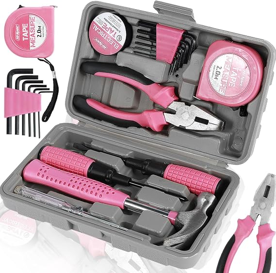 13 Pcs Home Repair Tool Kit General Household Hand Toolbox Set with Storage Case DIY Tools Hammer and Allen Key Set with Electrical Tape Screwdriver Test Pen Plier Bits for Men Women & Beginner