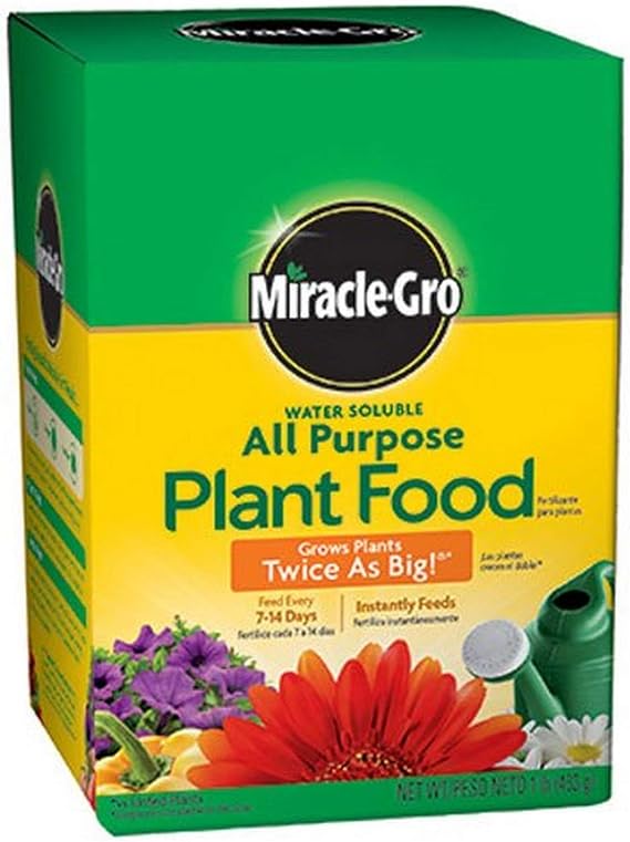 Miracle-Gro Pound 160101 Water-Soluble All Purpose Plant Food, 24-8-16, 1-Po