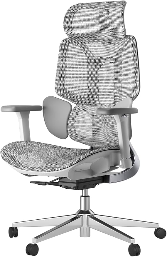 Hbada E3 Air Ergonomic Office Chair with Dynamic Lumbar Support