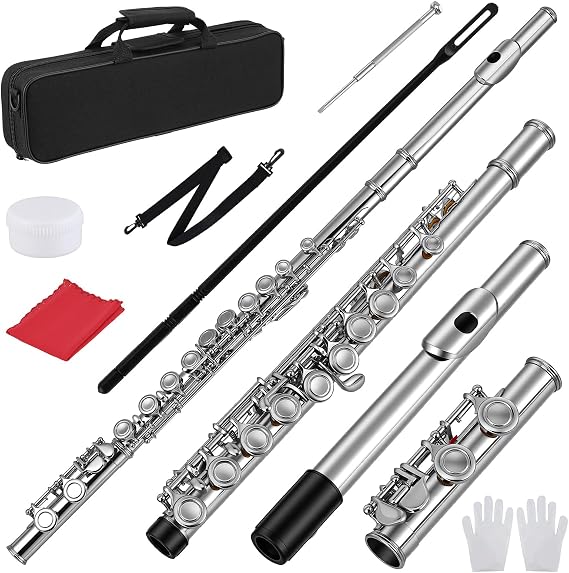Closed Hole 16 Keys Flute, Flute for Beginner, Closed Hole Flute Instrument with Case, Stand, Gloves, Cleaning Kit & Tuning Rod | Silver/Nickel Student Flute for Kids & Adults, Complete Starter Set
