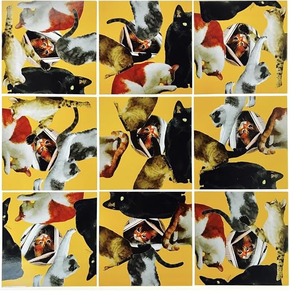 Scramble Squares Cat 9 Piece Challenging Puzzle - Ultimate Brain Teaser and Mind Game for Young and Senior Alike - Engaging and Creative with Beautiful Artwork - by B.Dazzle