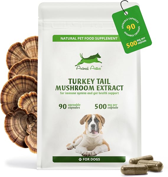 Turkey Tail Mushroom for Dogs, 90 Capsules x 500mg, Immune & Gut Support
