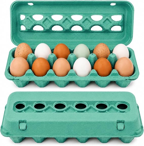 Vented Paper Pulp Egg Cartons - Teal (12)