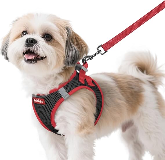 rabbitgoo Dog Harness Small Sized and Leash Set, Step in Soft Vest