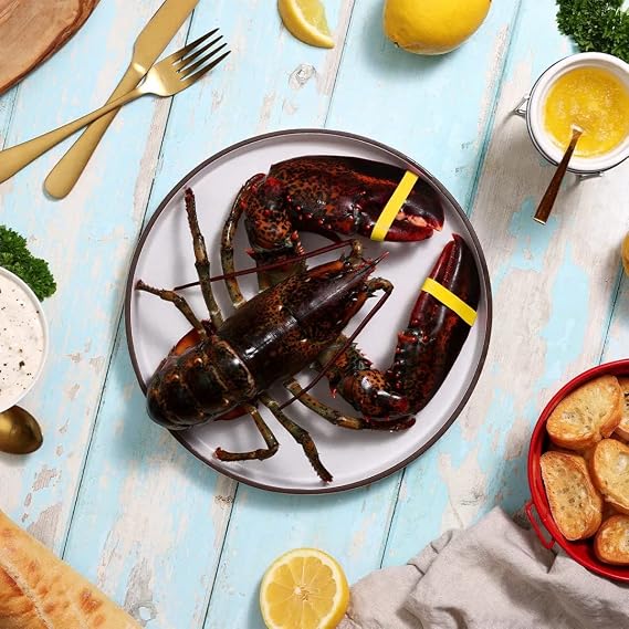 Maine Lobster Now: 2 Pounds Live Maine Lobster (6 Pack)