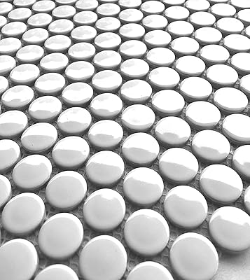 Tenedos Penny Round Porcelain Mosaic Wall Floor and Wall Tile Shiny Look for Bathroom, Kitchen Wall, Backsplash 20 Sheetscase White
