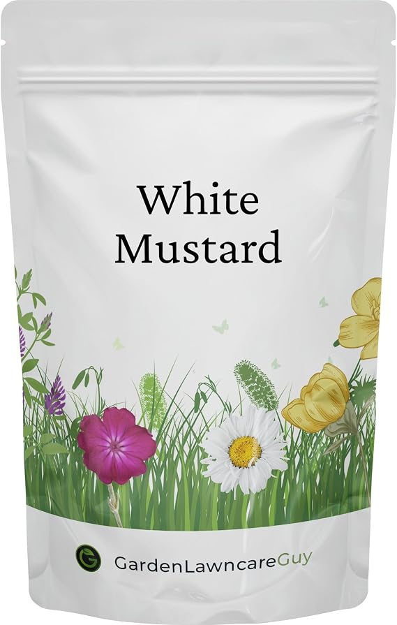 White Mustard Seeds 100g Pack – Sinapis Alba for Green Manure, Soil Conditioning & Wildflower Gardens – Fast-Growing Cover Crop for