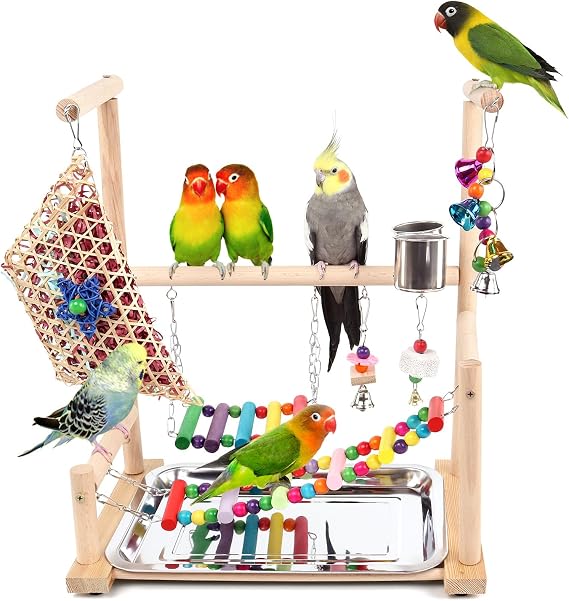 Bird Playground, Playstand for Parrot Cage Accessories (A Ladder with chew Toy)