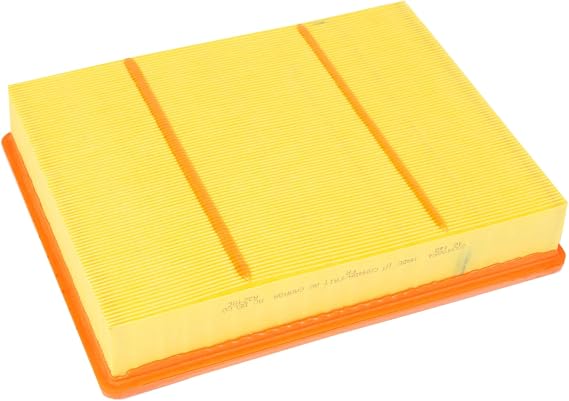 ACDelco GM Original Equipment A3218C (23349854) Air Filter