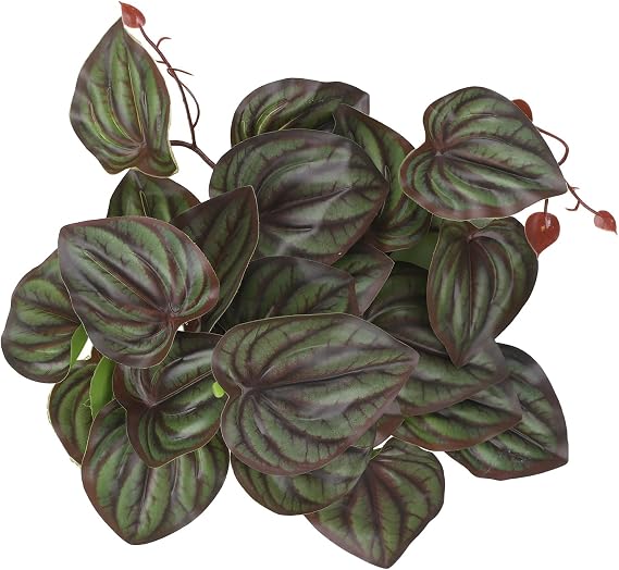 IBWell Fake Reptile Plants for Reptile Terrarium Plants, Reptile Plant Decor, Turtle Tank Plants with Suction Cup