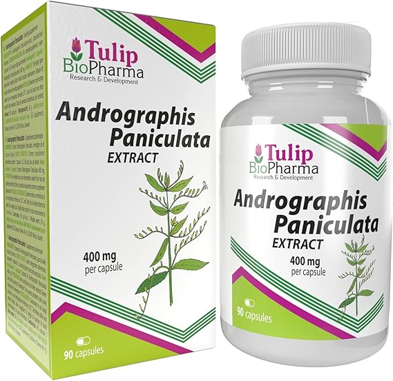 Andrographis Paniculata 400mg 90 Capsules, 3rd Party lab Tested, High Strength Supplement