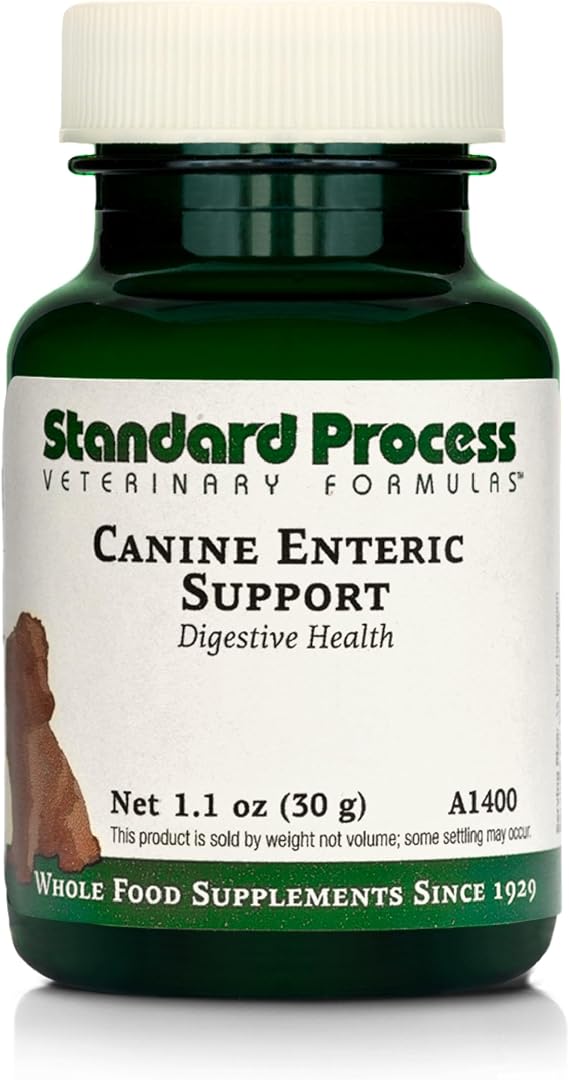 Standard Process Canine Enteric Support, 30 g