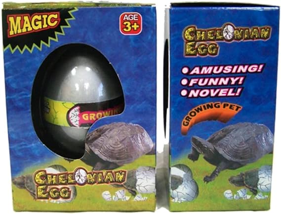 2 Novelty Growing Pet Turtle Hatching Eggs