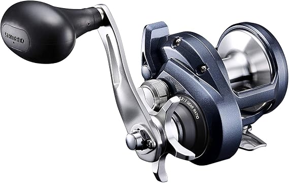 Shimano TORIUM Conventional ReelsFishing