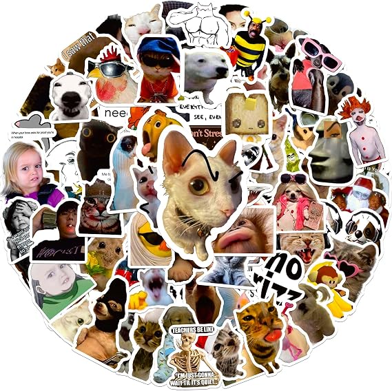 100 Pieces Funny Stickers, Cute Meme Stickers Waterproof Vinyl Gifts for Phone, Water Bottle, Luggage, Laptop, Adults Teens