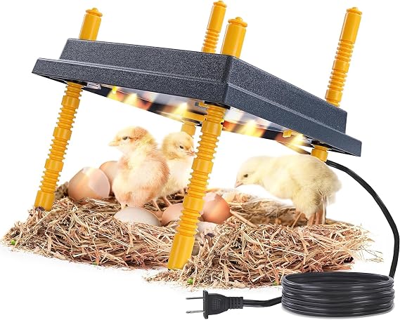 Premier 1 Chick Brooder Heating Plate 12"x12", Warms Up to 20 Chicks