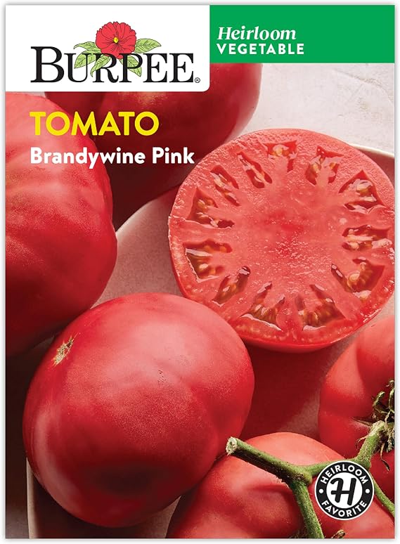 Burpee 'Brandywine Pink' Heirloom Tomato Seeds for Planting - Non-GMO, Indeterminate, Pink Beefsteak Slicing Tomato, 150mg Seed Packet for Home Gardening