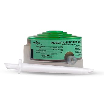 Mauget Inject-A-Min Iron Zinc - 6ml Zinc Sulfate & Iron Supplement for Rapid Greening & Stronger Immunity, Spill-Proof Liquid Fertilizer - Pack of 24 Caps