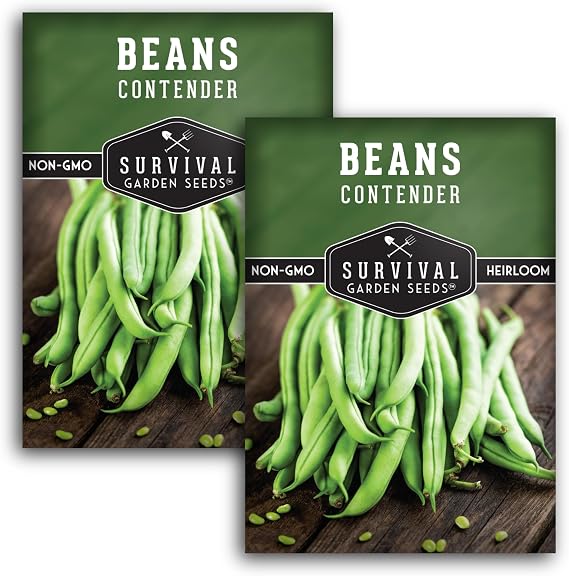 Contender Bush Bean Seeds for Planting - Survival Garden Seeds (2 Pack) | Heirloom Green Beans - Early Producing, Fast-Growing Stringless Variety for Vegetable Gardens