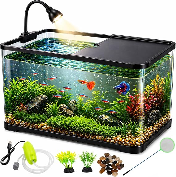 5 Gallon Fish Tank Starter Kit for Betta Shrimp Guppy & Neon Tetra