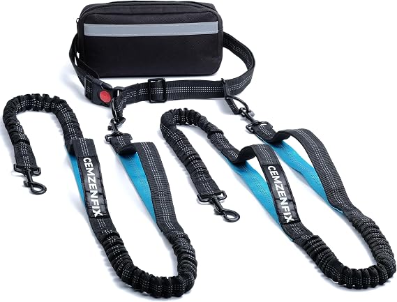 Hands Free Dog Leash for 2 Dogs Waist Leash for Dog Walking with Dual Bungee, Reflective No Pull Design, Adjustable Belt & Pouch for Running, Hiking, Jogging