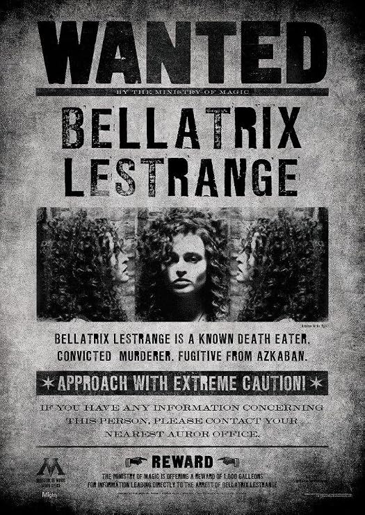 MIGHTYPRINT Harry Potter Bellatrix Lestrange 17 x 24 Wall Art