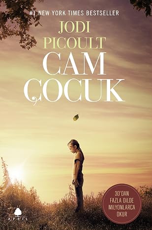 Cam Çocuk: 30'dan Fazla Dilde Milyonlarca Okur