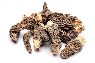 Slofoodgroup Dried Morel Mushrooms Morchella Conica Gourmet Morel Mushrooms 15 Morel Mushrooms