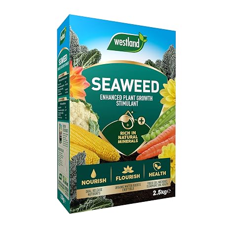 Westland Seaweed Enhanced (Plant Growth Stimulant), 2.5 kg