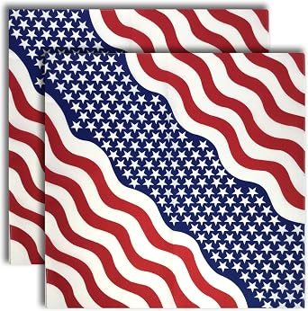 grinderPUNCH 2 Pack US American Flag Bandana USA