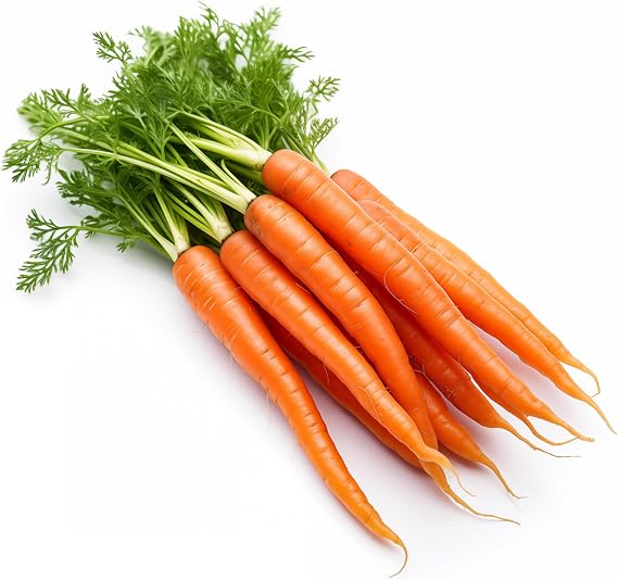 1000 Tendersweet Carrot Seeds for Planting - Heirloom, Non-GMO, USA Grown - By RDR Seeds