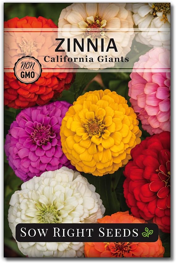 Sow Right Seeds - California Giants Zinnia Seed for Planting Flower Garden