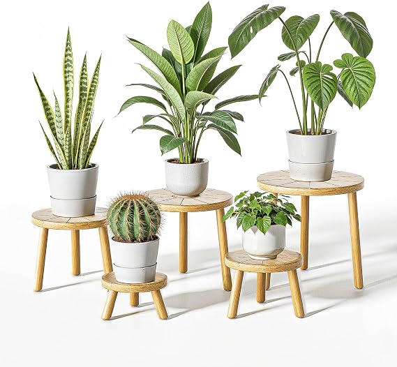 Delma Wood Plant Stands 5-Pack Indoor, Plant Stool, Light Brown