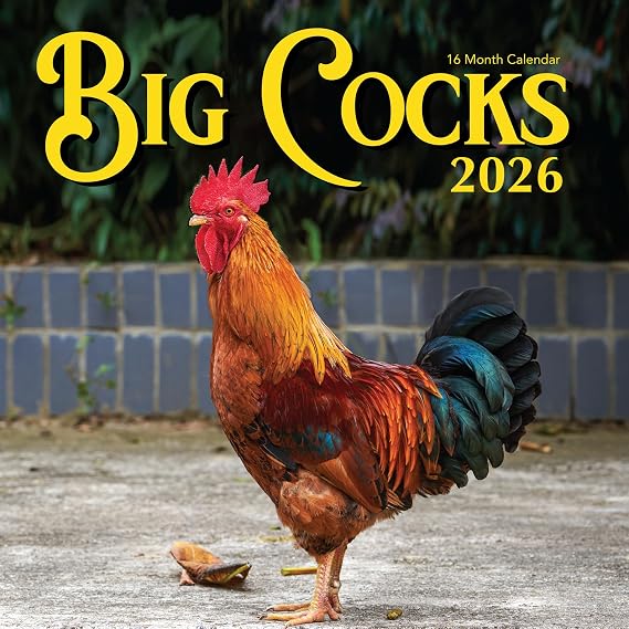 2026 Rooster Wall Calendar | Funny Chicken Daddies Calendar | Big Cocks Birds Monthly 12 Month | Chicken Calendar 2026 | Adults Joke Prank Gift | 12"x24" Wall Calendar