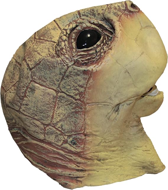 Bristol Novelty BM448 Turtle Mask, One Size