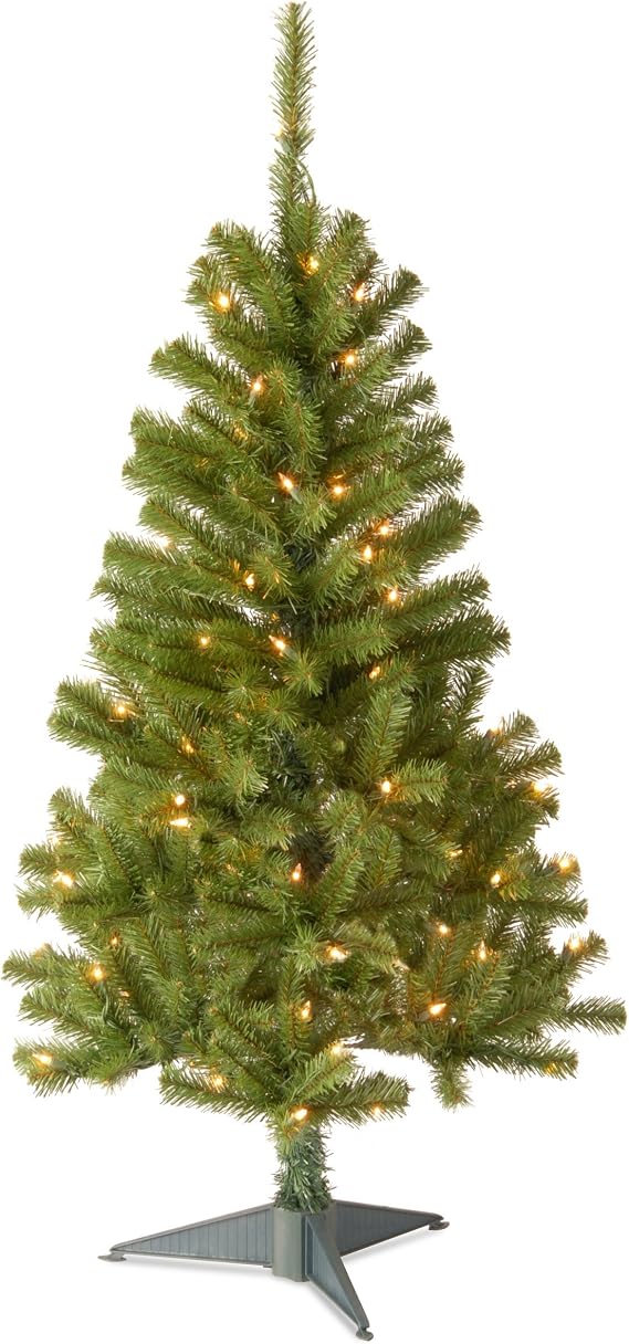 National Tree Company 4ft Pre-Lit Grande Canadian Fir Mini Christmas Tree