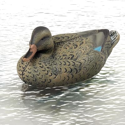 Extremely Realistic Floating Duck Decoys for Pool, Pond & Lake with Weighted Keels, 13 Inch Small Mallard Duck Decoy