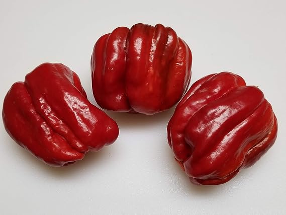 Antep Aci Dolma Pepper 10+ Seeds
