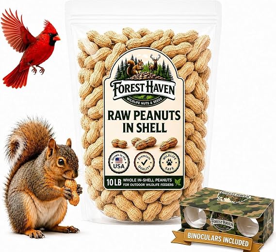 Forest Haven Premium Raw Peanuts for Squirrels 10LB Bulk Squirrel Food Unsalted Peanuts in Shell for Birds, Deer & Wildlife Bonus Binoculars Included - USA Grown