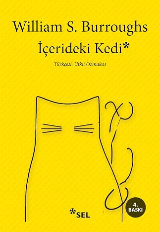 İçerdeki Kedi