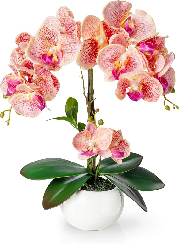 PASCH Artificial Orchids in High Gloss Ceramic Pot (40 cm) Artificial Flowers in Pot Artificial Flowers Like Real Artificial Orchids in Pot Artificial Flowers in Pot Artificial Flower Orchid