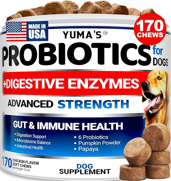 Probiotics for Dogs and Digestive Enzymes, 170 Treats, Dog Probiotics Chews
