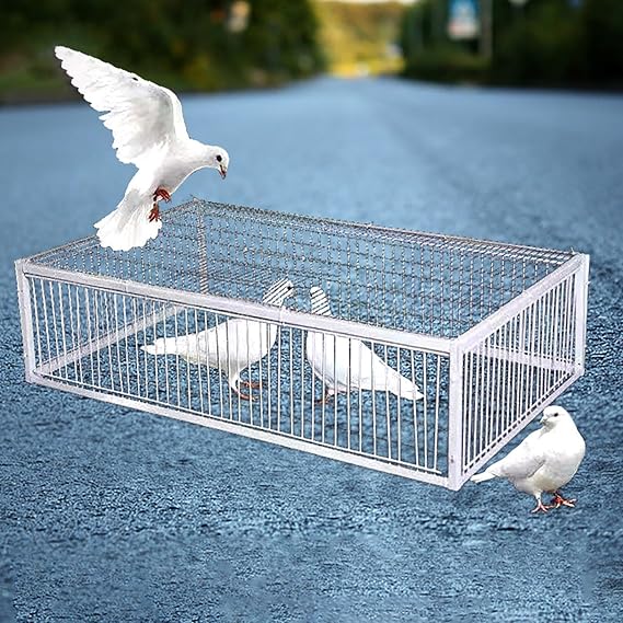 Bird trap Cage Animal Trap Cage Pigeon Trap Pigeon Cage With 2 one-way entrances and skylight Suitable for pigeons parrots crows birds Tightly spaced for easy assembly and cleaning(100x60x26cm)