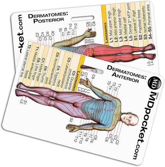 Rapid ID - Dermatomes (Horizontal)