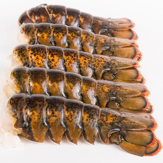 Today Gourmet- Maine Cold Water Lobster Tails 10oz-12oz (4 Tails)