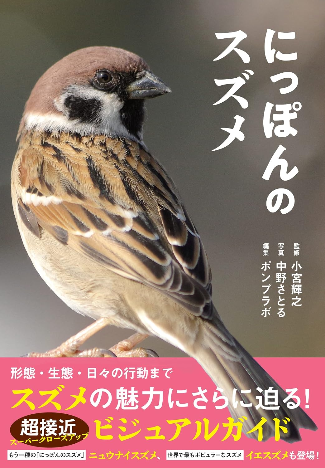 Japanese Sparrow Tankobon Softcover – October 5, 2022