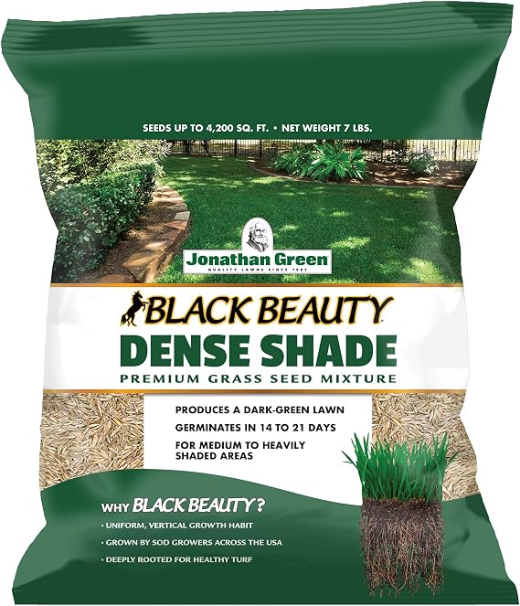 Jonathan Green (10620) Black Beauty Dense Shade Grass Seed - Cool Season Lawn Seed (7 lb) | Grows Well in Medium to Densely Shaded Areas