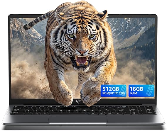 KAIGERR Laptops with AMD Ryzen 4300U(Up to 3.7GHz), 16GB DDR4 512GB SSD Laptop Computer, 1920P FHD Display, WiFi 6, USB3.2, Type_C, Webcam Cover Slide