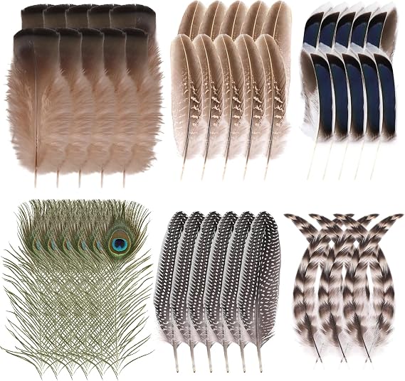 48Pcs Craft Feathers Decorations Assorted Colors Peacock Feather Bulk Turkey Hat Feather Decors 6 Styles Assorted Natural Real Feathers for Hats DIY Crafting,Christmas,Wedding and Holiday Decorations